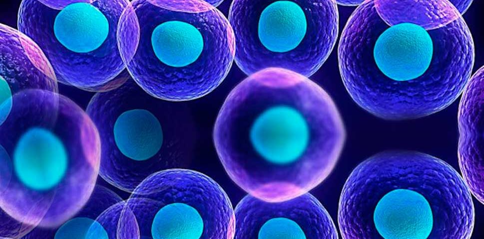Pesquisadores dos EUA avançam no uso células-tronco para doenças incuráveis