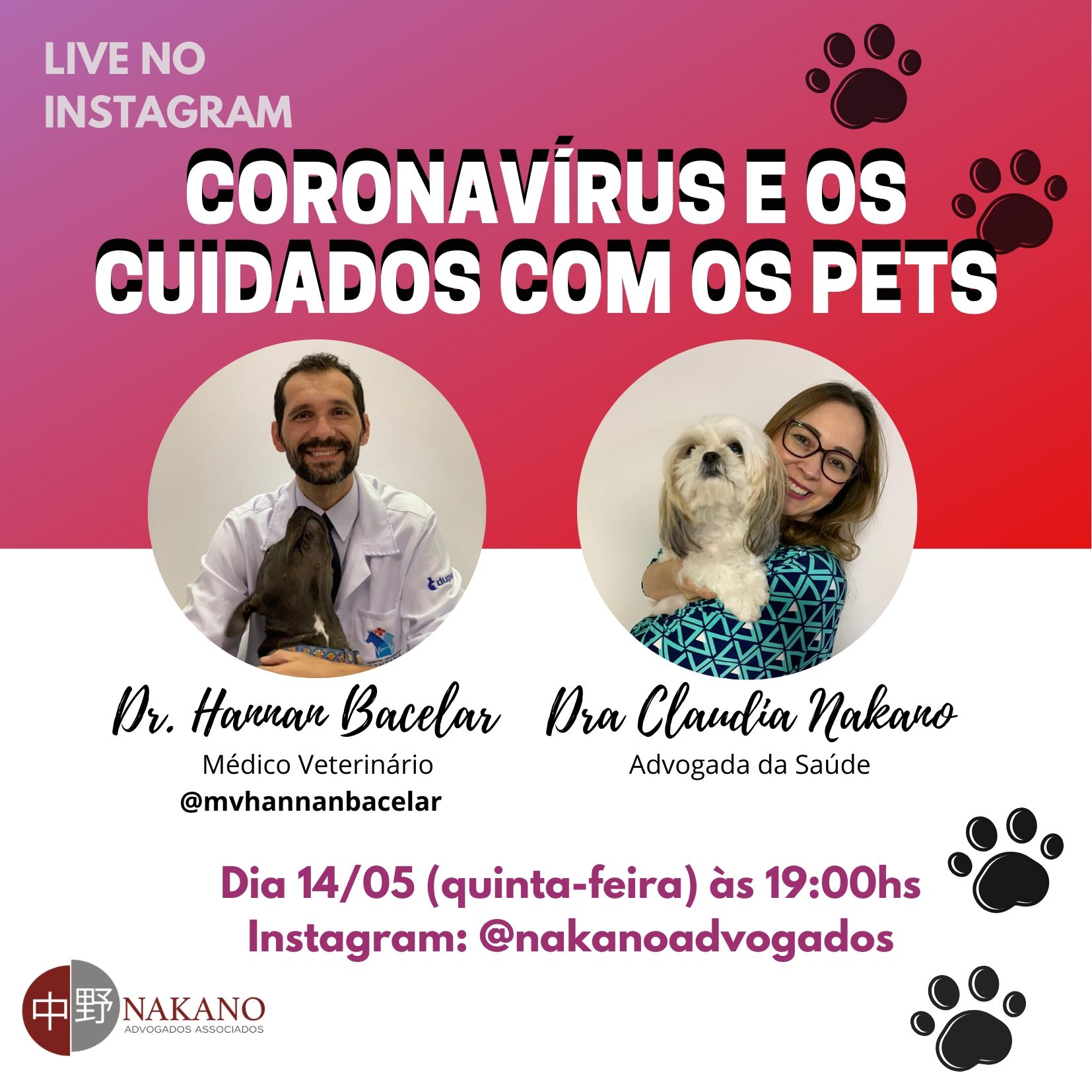 Coronavírus e os cuidados com os Pets
