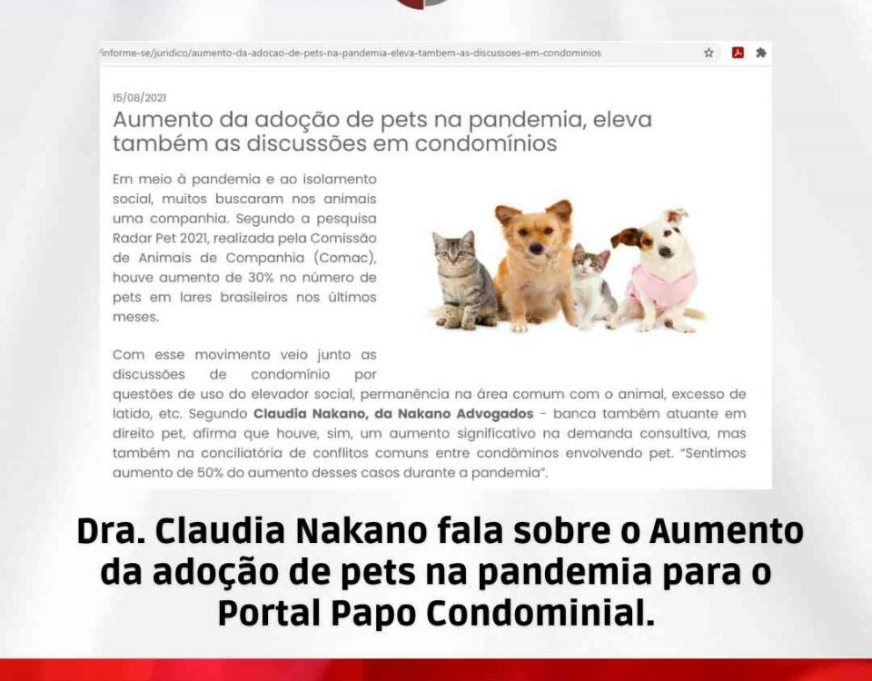 Aumento da adoção de pets na pandemia para o Portal Papo Condominial