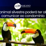 Quem tem animal silvestre poderá ter obrigação de comunicar ao condomínio