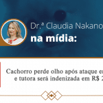 NA MÍDIA - G1 - Cachorro perde olho após ataque em creche e tutora será indenizada em R$ 20 mil