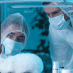Câmara aprova fim de testes com animais para cosméticos